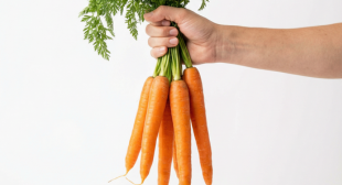 Vegan leben – was bringt das eigentlich?